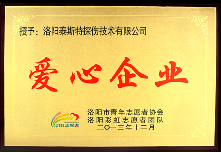 TST91视频网站下载仪